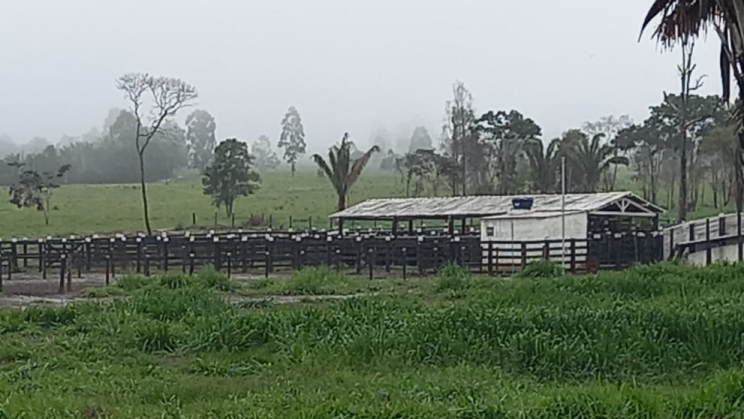 Vendo Fazenda de 6100 Hectares- no Norte de Minas Gerais (12)