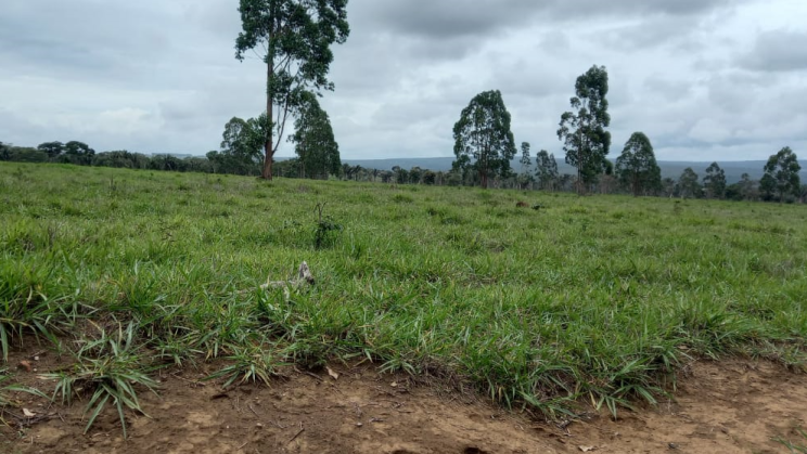 Vendo Fazenda de 6100 Hectares- no Norte de Minas Gerais (16)