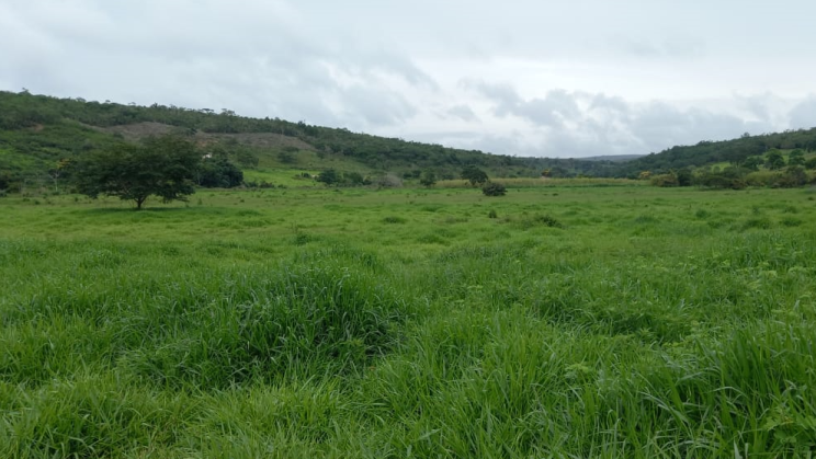 Vendo Fazenda de 6100 Hectares- no Norte de Minas Gerais (18)