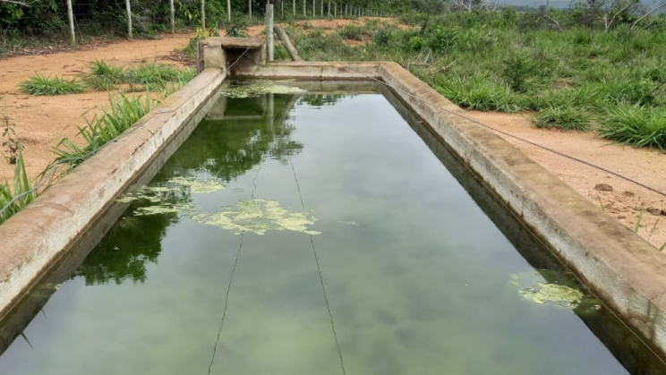 Vendo Fazenda de 6100 Hectares- no Norte de Minas Gerais (24)