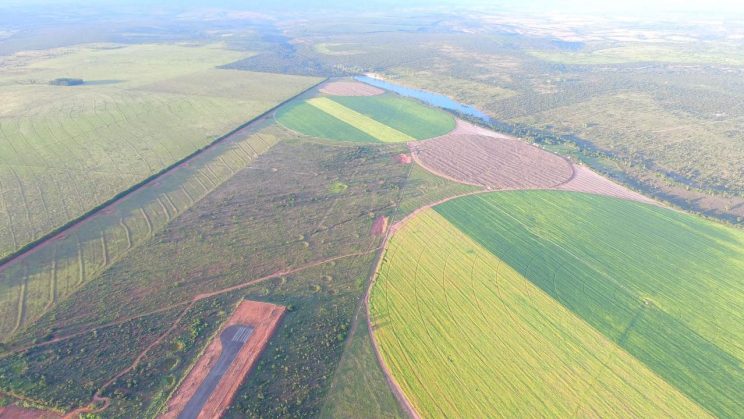 Vendo Fazenda de 630 Hectares- João Pinheiro-MG 02