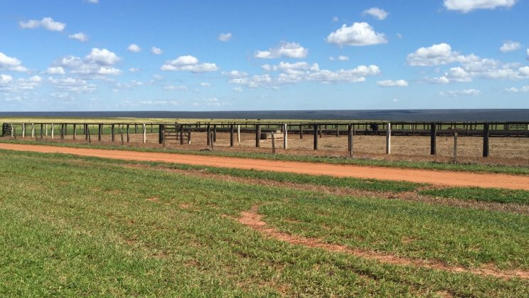 Vendo Fazenda de 6345 Hectares- Chapadão do Céu- GO 18