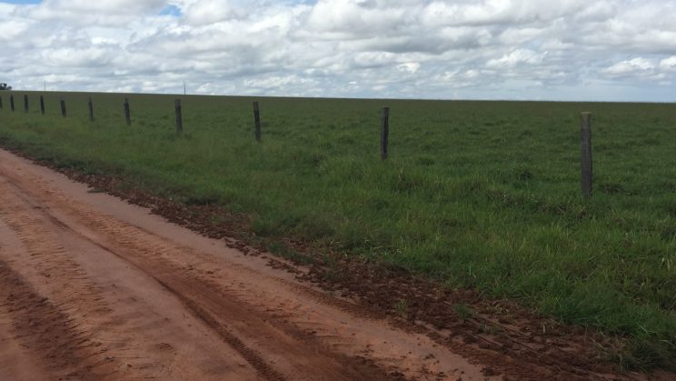 Vendo Fazenda de 6345 Hectares- Chapadão do Céu- GO 20