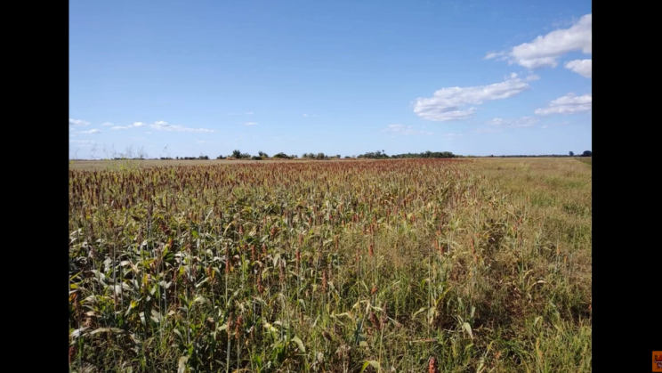 Vendo Fazenda de 6616 hectares-Cocalinho-MT (13)