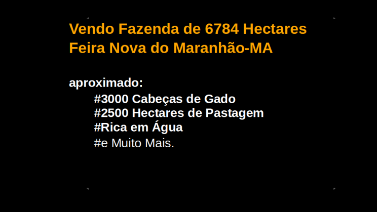 Vendo Fazenda de 6784 Hectares (1)