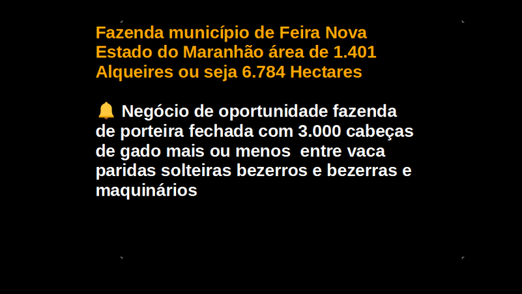 Vendo Fazenda de 6784 Hectares (2)