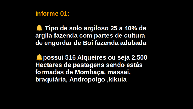 Vendo Fazenda de 6784 Hectares (3)