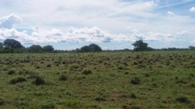 Vendo Fazenda de 6843 Hectares- Nova Crixás-GO (16)