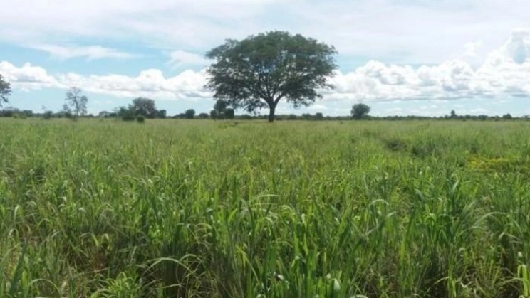 Vendo Fazenda de 6843 Hectares- Nova Crixás-GO (20)