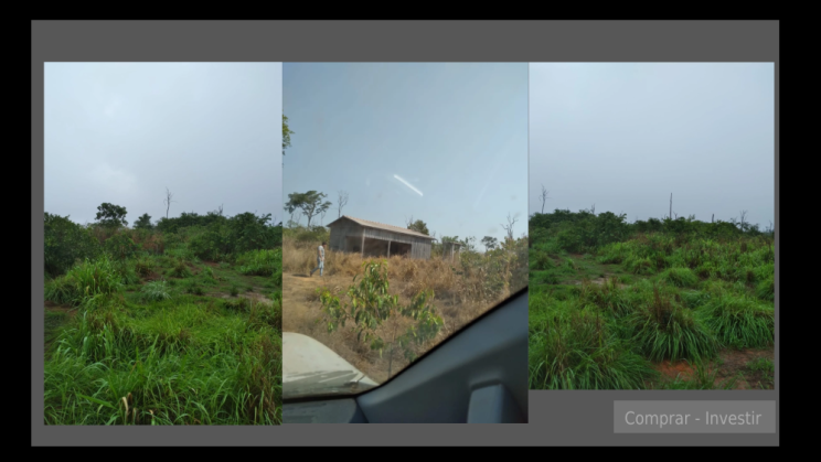 Vendo Fazenda de 7400 Hectares- Querência do Norte-PR (8)
