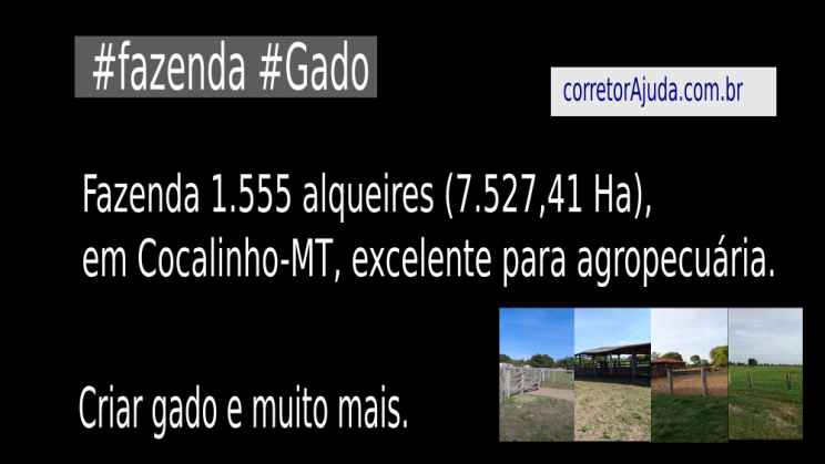 Vendo Fazenda de 7527 Hectares-Cocalinho-MTc0001