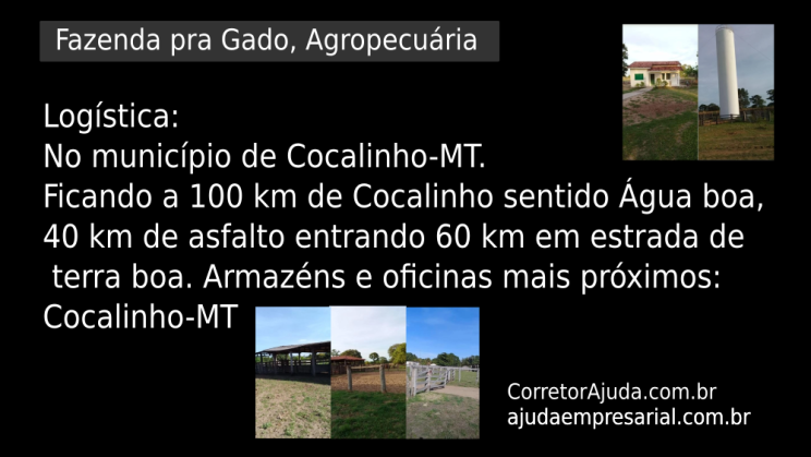 Vendo Fazenda de 7527 Hectares-Cocalinho-MTc001