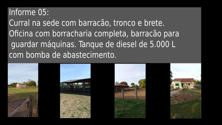 Vendo Fazenda de 7527 Hectares-Cocalinho-MTc06