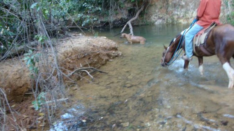 Vendo Fazenda de 756 Hectares em Paracatu-MG 08
