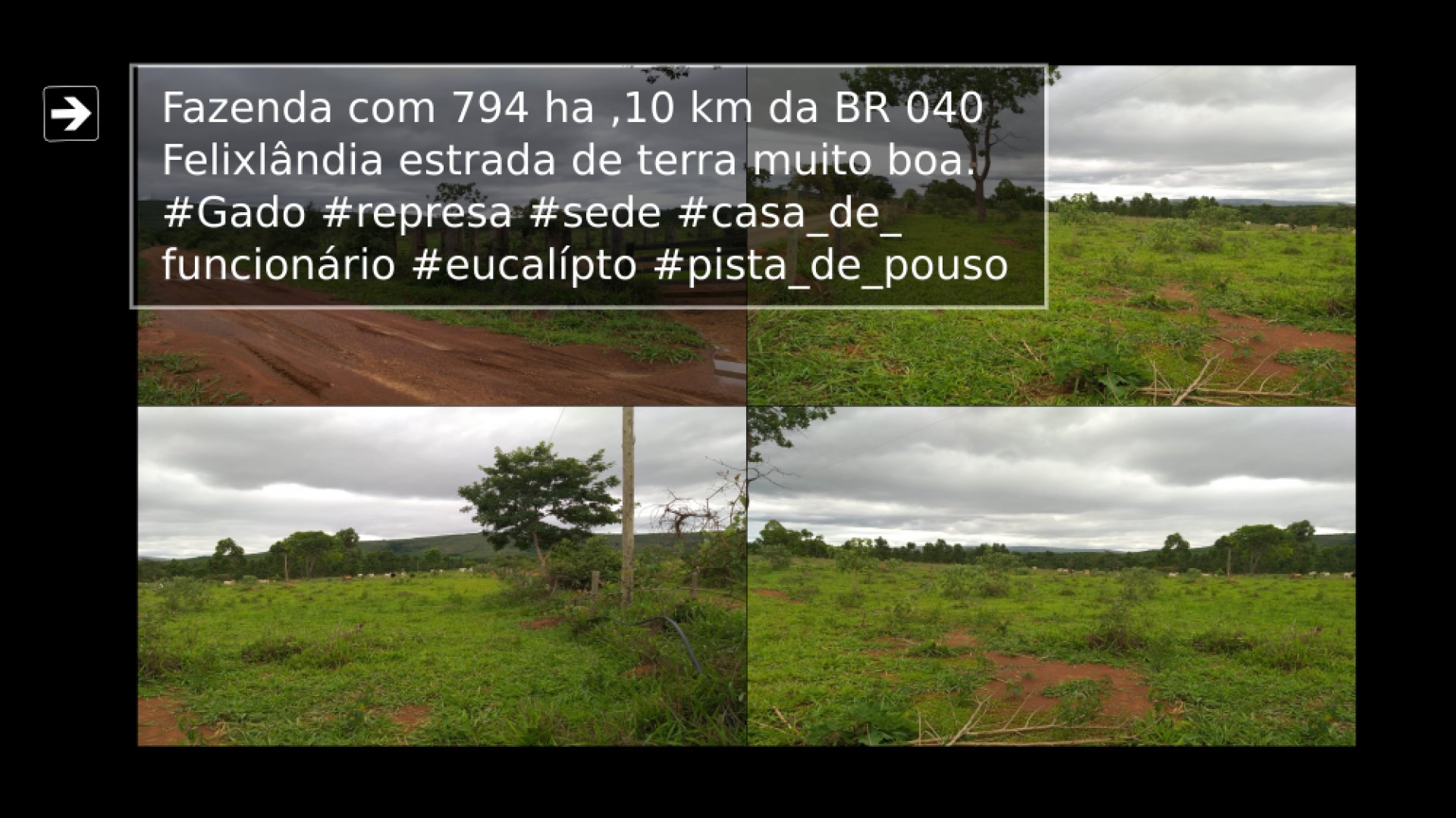 Vendo Fazenda de 794 hectares- Felixlândia-MG 04