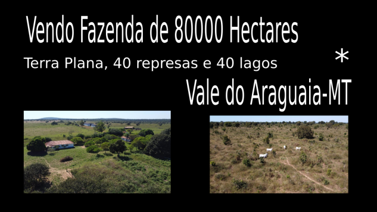 Vendo Fazenda de 80000 Hectares- Vale do Araguaia-MT c01