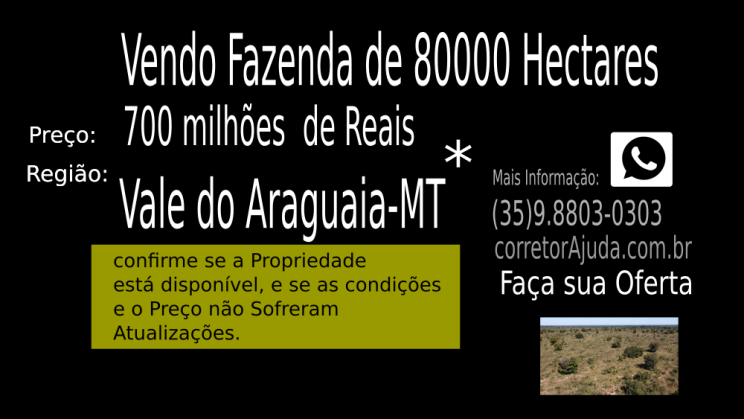 Vendo Fazenda de 80000 Hectares- Vale do Araguaia-MT c02