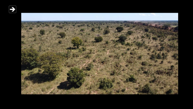 Vendo Fazenda de 80000 Hectares- Vale do Araguaia-MT c05