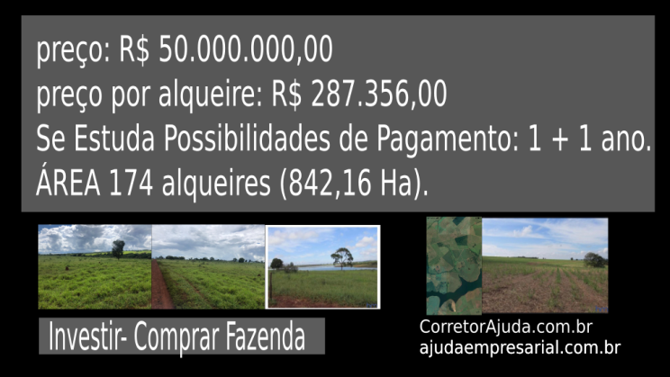 Vendo Fazenda de 842 Hectares- Quirinópolis-GO (10)