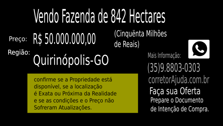 Vendo Fazenda de 842 Hectares- Quirinópolis-GO (11)