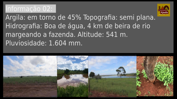 Vendo Fazenda de 842 Hectares- Quirinópolis-GO (2)
