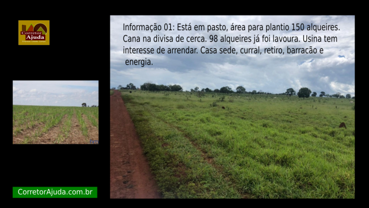Vendo Fazenda de 842 Hectares- Quirinópolis-GO (5)