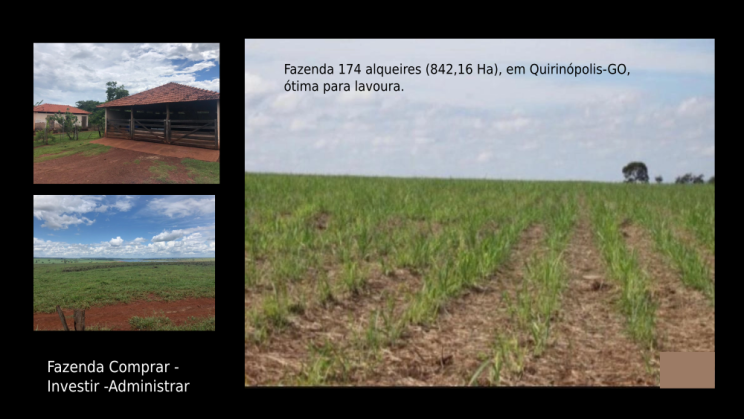 Vendo Fazenda de 842 Hectares- Quirinópolis-GO (7)