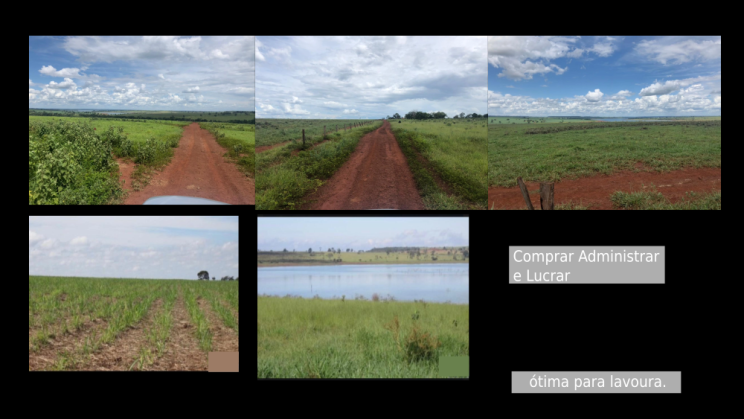 Vendo Fazenda de 842 Hectares- Quirinópolis-GO (8)