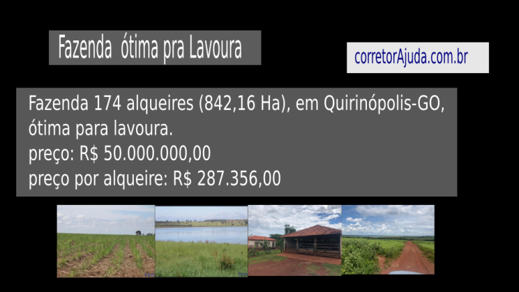 Vendo Fazenda de 842 Hectares- Quirinópolis-GO (9)