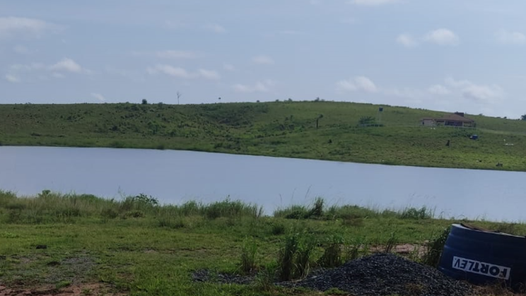 Vendo Fazenda de 900 Hectares-Roraima (8)