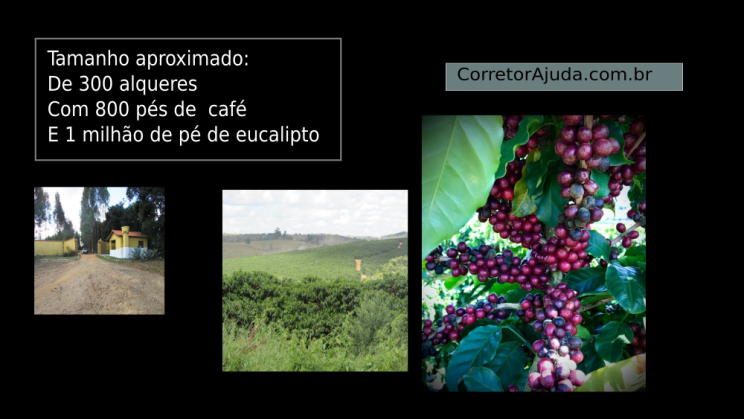 Vendo Fazenda de Café- 300 Hectares- São Antônio do Amparo-MG c04