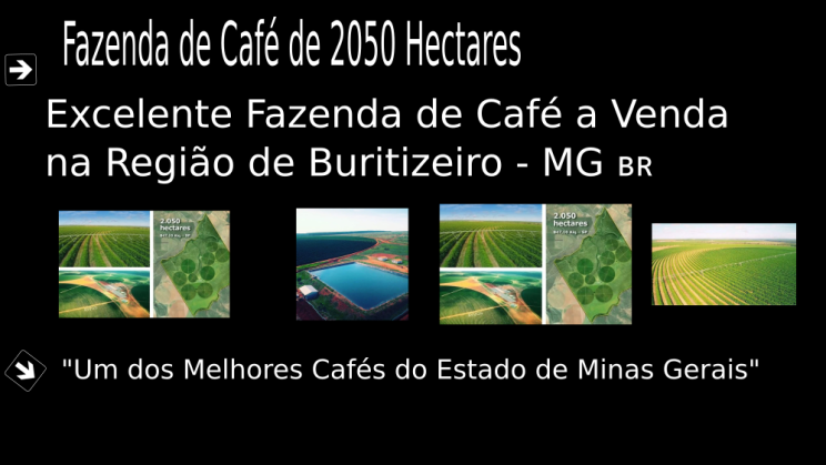 Vendo Fazenda de Café de 2050 Hectares- Buritizeiro-MG 03