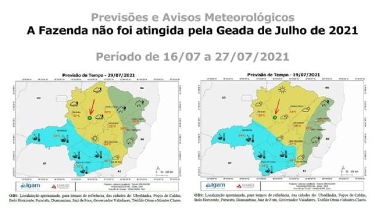 Vendo Fazenda de Café de 2050 Hectares- Buritizeiro-MG 04
