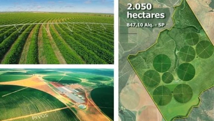 Vendo Fazenda de Café de 2050 Hectares- Buritizeiro-MG 07