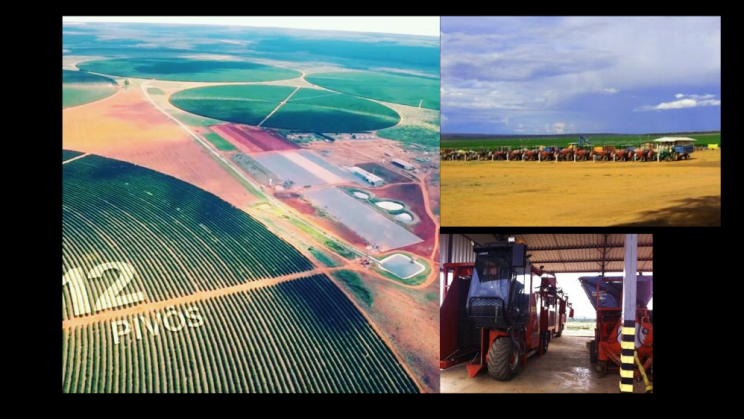 Vendo Fazenda de Café de 2050 Hectares- Buritizeiro-MG 16