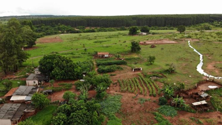 Vendo Fazenda de Eucalipto em Mato Grosso do SUL-MS (11)