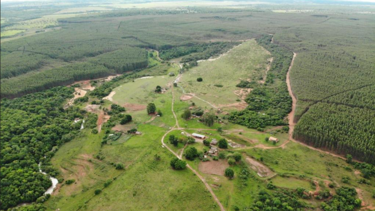 Vendo Fazenda de Eucalipto em Mato Grosso do SUL-MS (8)