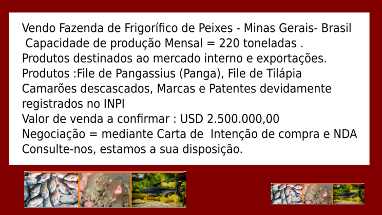 Vendo Fazenda de Frigorífico de Peixes - Minas Gerais- Brasil (9)