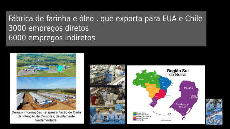 Vendo Frigorífico de Aves -Localizado na Região Sul-BR c07