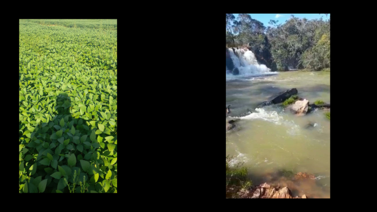 Vendo Linda Fazenda de 1180 Hectares Água Fria de Goiás -GO 01