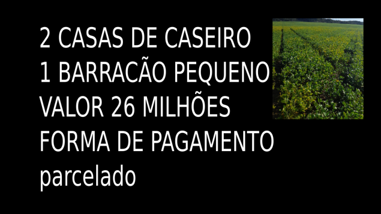 Vendo Linda Fazenda de 1180 Hectares Água Fria de Goiás -GO 04