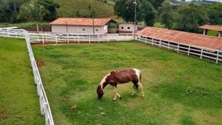 Vendo Sítio 18ha- Soledade de Minas-MG 01 (2)