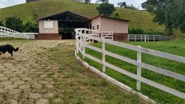 Vendo Sítio 18ha- Soledade de Minas-MG 01 (22)