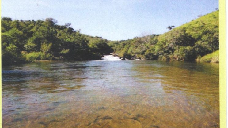 Vendo Sítio- 21ha-Campo Redondo Gamarra -Baependi- MG (2)