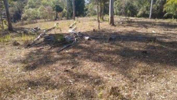 Vendo Sitio e Casa 03 Dormitórios-Zona Rural- Soledade de Minas-MG f01 (13)