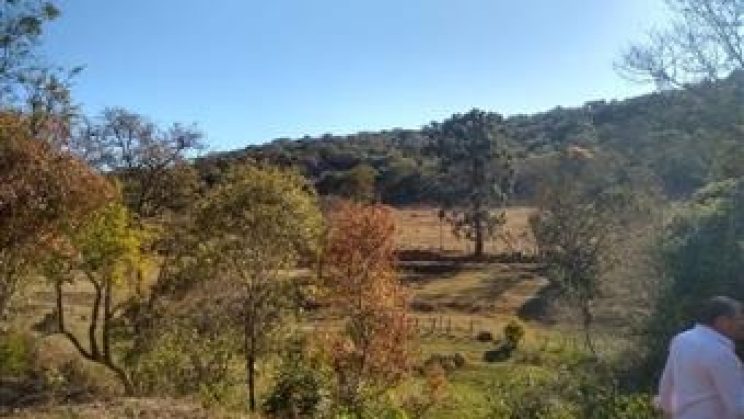 Vendo Sitio e Casa 03 Dormitórios-Zona Rural- Soledade de Minas-MG f01 (14)
