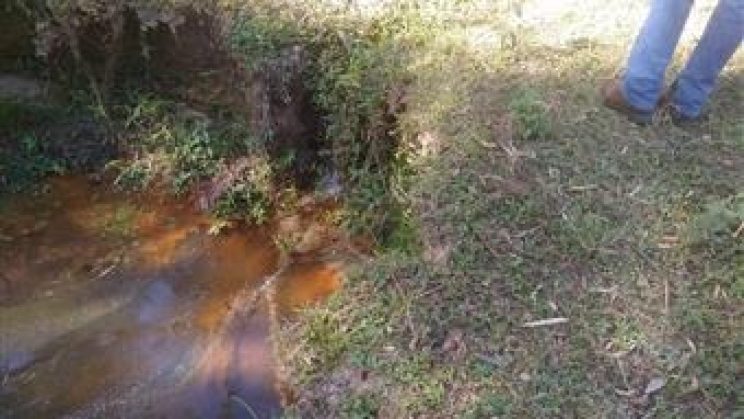 Vendo Sitio e Casa 03 Dormitórios-Zona Rural- Soledade de Minas-MG f01 (15)