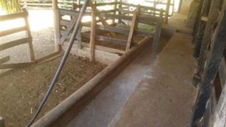 Vendo Sitio e Casa 03 Dormitórios-Zona Rural- Soledade de Minas-MG f01 (17)