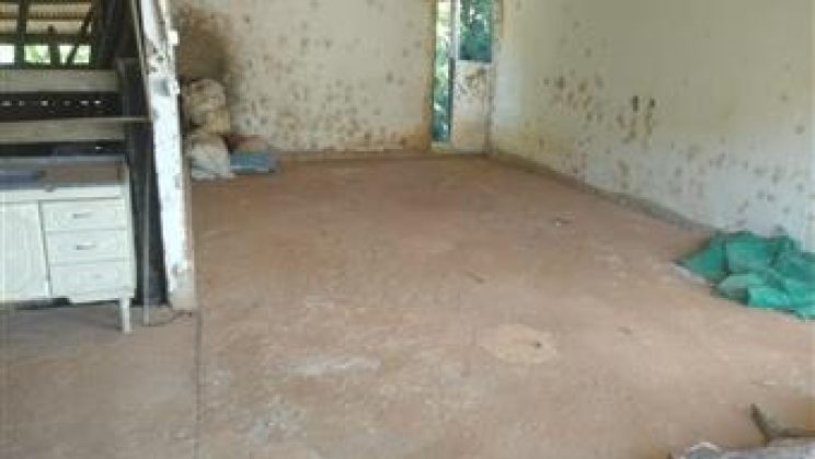 Vendo Sitio e Casa 03 Dormitórios-Zona Rural- Soledade de Minas-MG f01 (18)