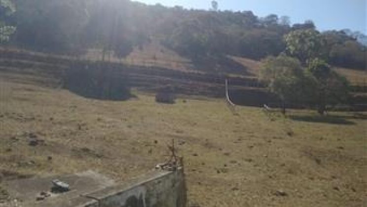 Vendo Sitio e Casa 03 Dormitórios-Zona Rural- Soledade de Minas-MG f01 (19)